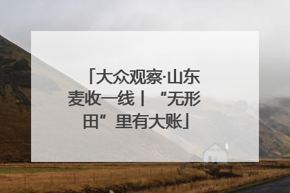 大众观察·山东麦收一线丨“无形田”里有大账