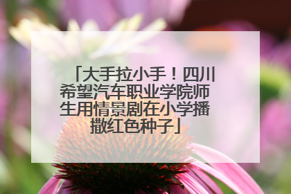 大手拉小手！四川希望汽车职业学院师生用情景剧在小学播撒红色种子