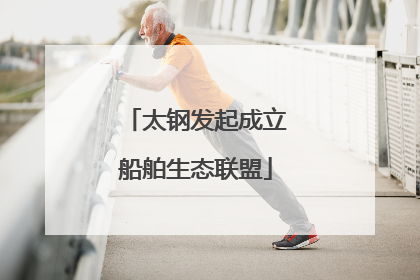 太钢发起成立船舶生态联盟
