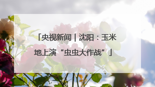 央视新闻｜沈阳：玉米地上演“虫虫大作战”