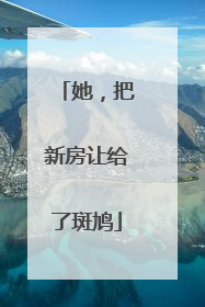 她，把新房让给了斑鸠