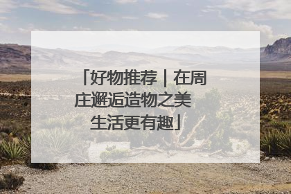 好物推荐｜在周庄邂逅造物之美 生活更有趣