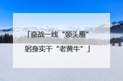 奋战一线“领头雁” 躬身实干“老黄牛”