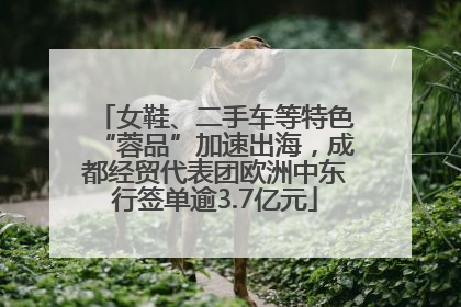 女鞋、二手车等特色“蓉品”加速出海，成都经贸代表团欧洲中东行签单逾3.7亿元