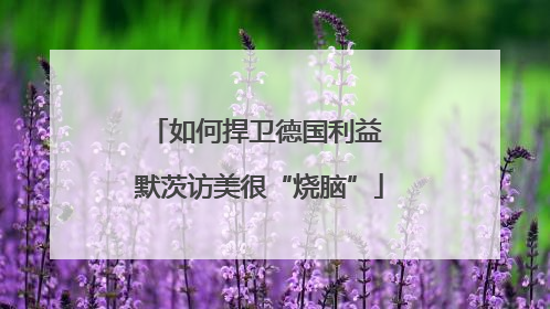 如何捍卫德国利益 默茨访美很“烧脑”