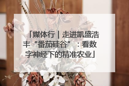 媒体行｜走进凯盛浩丰“番茄硅谷”：看数字神经下的精准农业