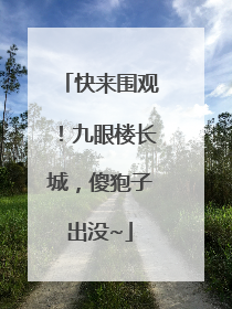 快来围观！九眼楼长城，傻狍子出没~