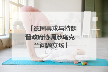 德国寻求与特朗普政府协调涉乌克兰问题立场