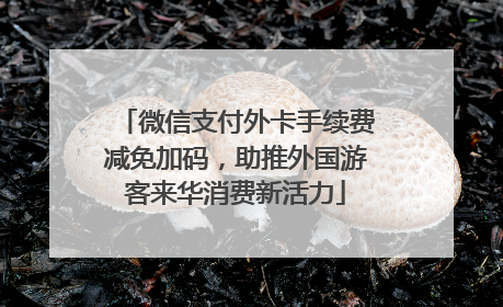 微信支付外卡手续费减免加码，助推外国游客来华消费新活力