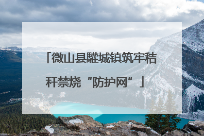 微山县驩城镇筑牢秸秆禁烧“防护网”