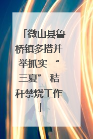 微山县鲁桥镇多措并举抓实 “三夏” 秸秆禁烧工作