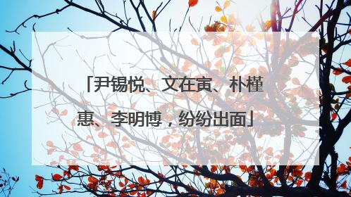 尹锡悦、文在寅、朴槿惠、李明博，纷纷出面