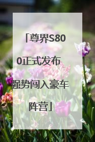 尊界S800正式发布 强势闯入豪车阵营