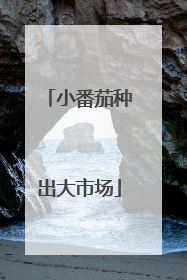 小番茄种出大市场