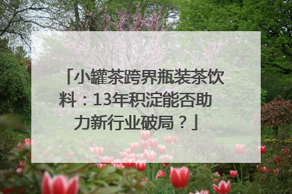 小罐茶跨界瓶装茶饮料：13年积淀能否助力新行业破局？