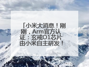 小米大消息！刚刚，Arm官方认证：玄戒O1芯片由小米自主研发！雷军此前称已开始大规模量产