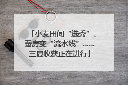 小麦田间“选秀”、蚕房变“流水线”……三夏收获正在进行