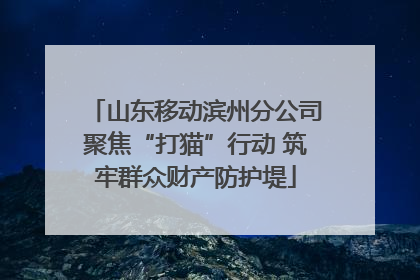 山东移动滨州分公司聚焦“打猫”行动 筑牢群众财产防护堤