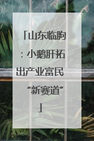 山东临朐：小鹅肝拓出产业富民“新赛道”