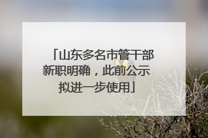 山东多名市管干部新职明确，此前公示拟进一步使用