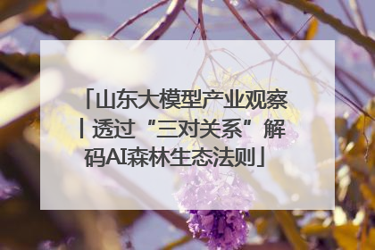 山东大模型产业观察丨透过“三对关系”解码AI森林生态法则