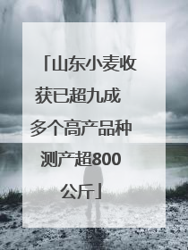 山东小麦收获已超九成 多个高产品种测产超800公斤