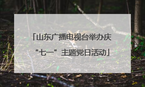 山东广播电视台举办庆“七一”主题党日活动