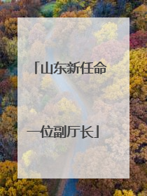 山东新任命一位副厅长