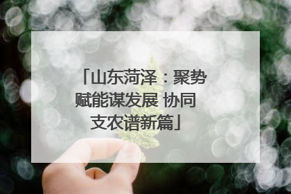 山东菏泽：聚势赋能谋发展 协同支农谱新篇
