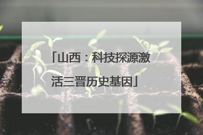 山西：科技探源激活三晋历史基因