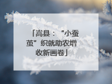 嵩县：“小蚕茧”织就助农增收新画卷