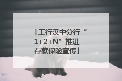 工行汉中分行“1+2+N”推进存款保险宣传