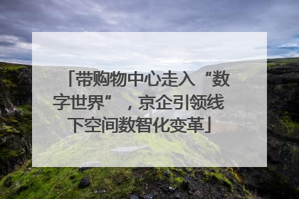 带购物中心走入“数字世界”，京企引领线下空间数智化变革