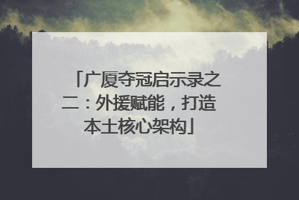 广厦夺冠启示录之二：外援赋能，打造本土核心架构