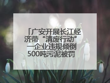 广安开展长江经济带“清废行动” 一企业违规倾倒500吨污泥被罚8万元
