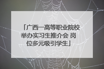 广西一高等职业院校举办实习生推介会 岗位多元吸引学生
