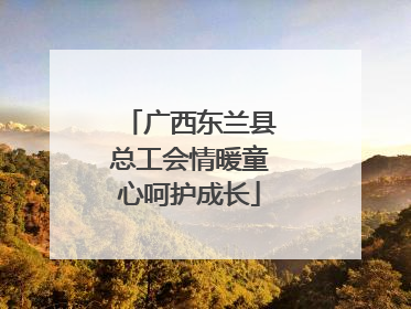 广西东兰县总工会情暖童心呵护成长