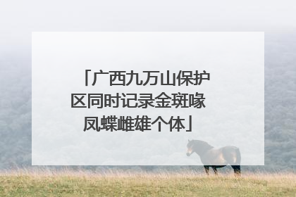 广西九万山保护区同时记录金斑喙凤蝶雌雄个体