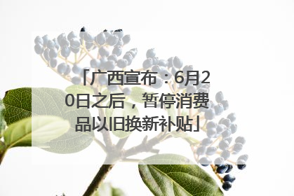 广西宣布：6月20日之后，暂停消费品以旧换新补贴