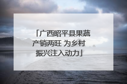 广西昭平县果蔬产销两旺 为乡村振兴注入动力