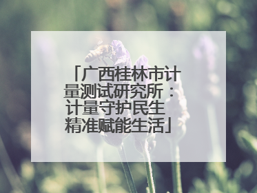 广西桂林市计量测试研究所：计量守护民生 精准赋能生活