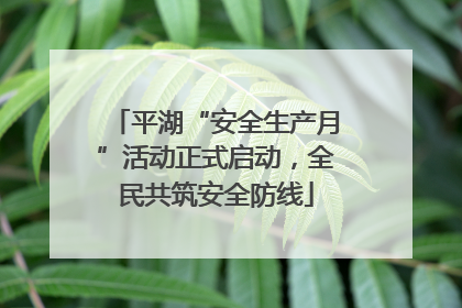 平湖“安全生产月”活动正式启动，全民共筑安全防线