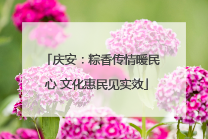 庆安：粽香传情暖民心 文化惠民见实效