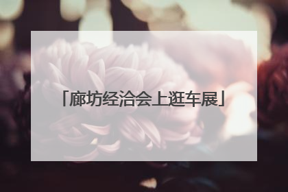 廊坊经洽会上逛车展