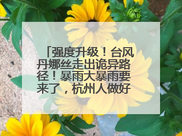 强度升级！台风丹娜丝走出诡异路径！暴雨大暴雨要来了，杭州人做好准备！