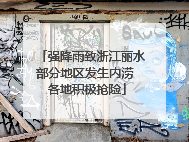 强降雨致浙江丽水部分地区发生内涝 各地积极抢险