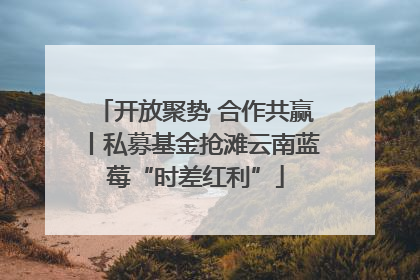 开放聚势 合作共赢丨私募基金抢滩云南蓝莓“时差红利”