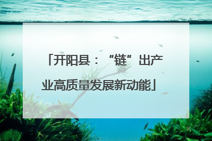 开阳县：“链”出产业高质量发展新动能