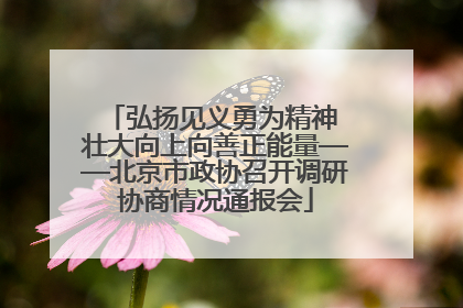弘扬见义勇为精神 壮大向上向善正能量——北京市政协召开调研协商情况通报会