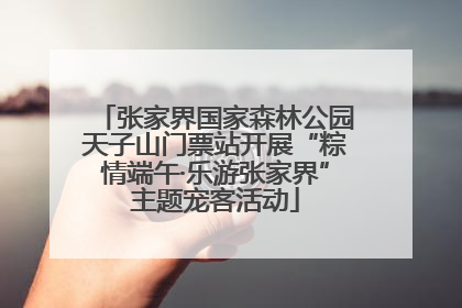 张家界国家森林公园天子山门票站开展“粽情端午·乐游张家界”主题宠客活动